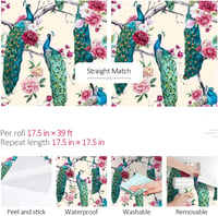 ReWallpaper Öntapadós Tapéta 44,5cm×12m - Vintage Zöld Páva Mintás Vízálló Faliborítás Fürdőszobába, Konyhába, Folyosóra - Bézs Virágos PVC  5