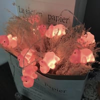 Riaxuebiy Hippo LED Fényfüzér Elemmel Működő Dekorációs Lámpa 4