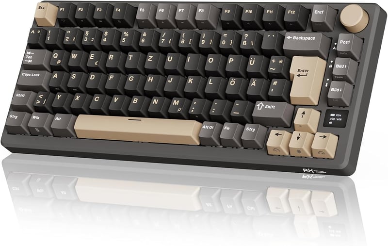 RK ROYAL KLUDGE M75 75% TKL Mechanikus Gamer Billentyűzet, RGB Háttérvilágítás, OLED Kijelző, Hot-Swap Brown Switch, Vezeték Nélküli/Bluetoo