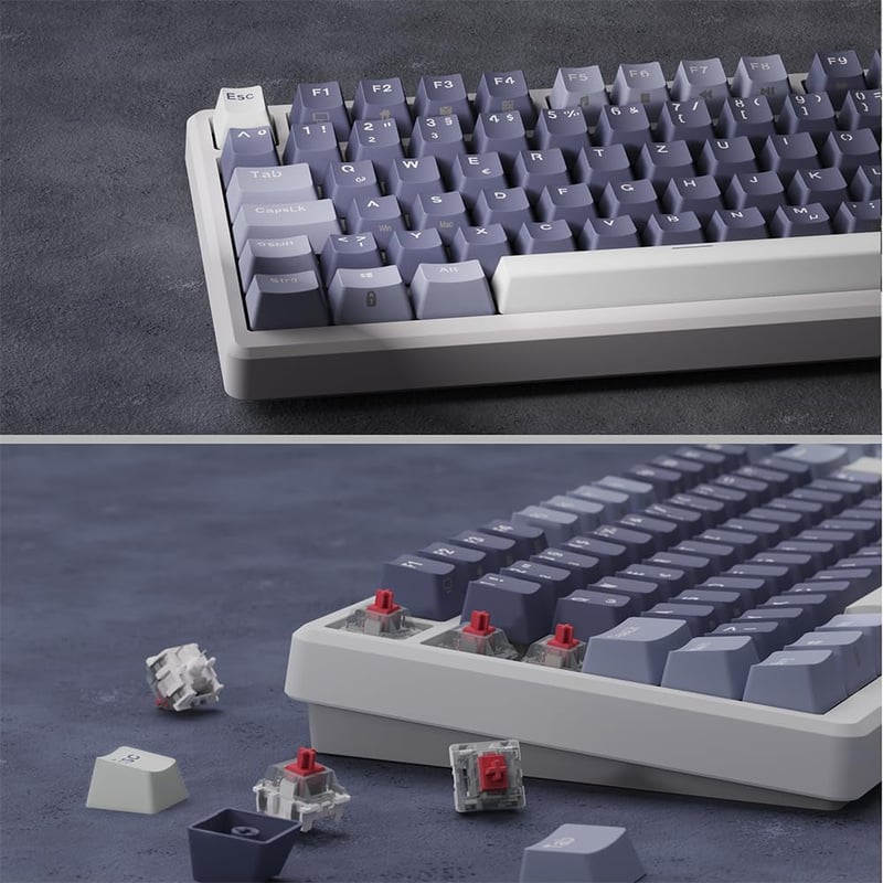 RK ROYAL KLUDGE M75 Vezeték Nélküli Mechanikus Gamer Billentyűzet, 75% TKL, RGB, QWERTZ, OLED Kijelzővel, Hot-Swap Red Switch, Levendula Lil