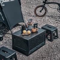 RMAN 2 ks skladací úložný box 38 l s vekom a kolieskami, PP plast, kempingový box, čierny, na organizáciu obuvi 3