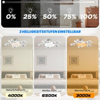 Roadtime E27 stropni ventilator sa svjetiljkom i daljinskim upravljačem, 80W LED, 5 sklopivih lopatica, 3 temperature boje, 3 brzine, tajmer, za spavaću sobu 3