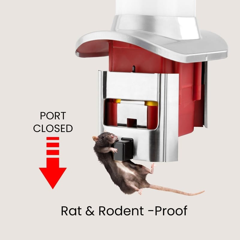 Roamwild PestOff Patkánybiztos Csirkeetető 4L Kapacitás Időjárásálló