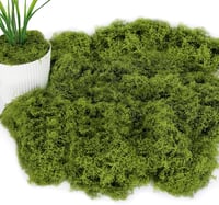 ROLLWAY 150g Műmoha Dekorációhoz - Sötétzöld Műmoha Kézművességhez, Akváriumhoz, Modellezéshez, Betlehemhez - Tartós Nylon Díszítőmoha 1