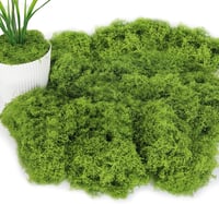 ROLLWAY Dekorációs Műmoha 100g - Sötét és Világoszöld Műmoha Kézművességhez, Akvárium, Falikép, Betlehem, Makett Díszítéshez, Tartós Nylon A 1