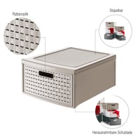 Rotho Country kutija za pohranu s ladicom 19,2 l, polipropilenska plastika s efektom ratana, bez BPA, cappuccino, složivi organizator za odjeću i dokumente 4