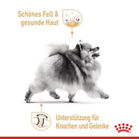 Royal Canin Pomeranian Adult Mousse vlhké krmivo pre dospelé pomeraniany – 12 x 85 g 3