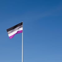 Runesol Aszexuális Zászló 91x152cm - LGBTQ+ Pride Zászló 4 Fém Fűzőkarikával, Időjárásálló, UV-Ellenálló, Kültéri-Beltéri Használatra, Élénk 3