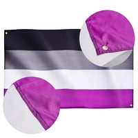 Runesol Aszexuális Zászló 91x152cm - LGBTQ+ Pride Zászló 4 Fém Fűzőkarikával, Időjárásálló, UV-Ellenálló, Kültéri-Beltéri Használatra, Élénk 4