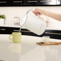 Russell Hobbs Eden fehér vízforraló 1,7L rozsdamentes acél szűrővel 8