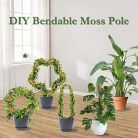 Ryhx Monstera Növénytámasz Szett - 120 cm Hajlítható Kókuszrost Karó Kúszónövényekhez, 2 db Természetes Mohaoszlop Szobanövényekhez 5