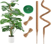 Ryhx Monstera Növénytámasz Szett - 120 cm Hajlítható Kókuszrost Karó Kúszónövényekhez, 2 db Természetes Mohaoszlop Szobanövényekhez 1