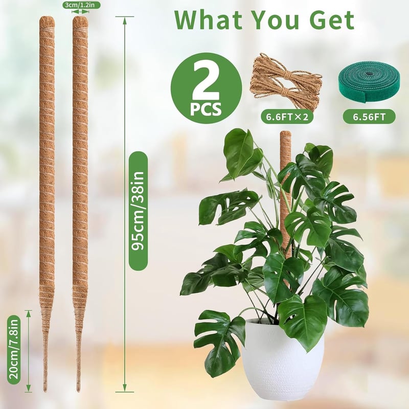 RYHX Monstera Növénytámasz Szett - 95 cm Hajlítható Kókuszrost Karó Kúszónövényekhez, 2 db Természetes Mohabot Beltéri Növényekhez Kiegészít