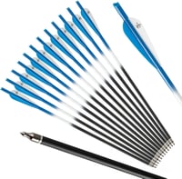 S F Karbon Nyílvesszők Vadászat és Lövészet Célpontgyakorlat 12 db - blue 2