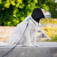 Căști de protecție auditivă pentru câini Safe Dogs Ears împotriva focurilor de artificii, tunetelor și zgomotelor puternice, cu inserții fonoizolante lavabile, pentru toate rasele 5