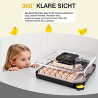 Sailnovo 48 tojás automata keltetőgép hőmérséklet és páratartalom szabályozással 7