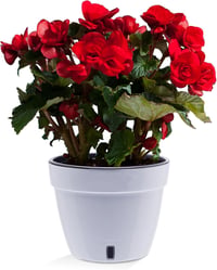 Santino ASTI 20 cm önöntöző virágcserép vízszintjelzővel fehér/fekete - Ø 20cm, 2-White / Black 4
