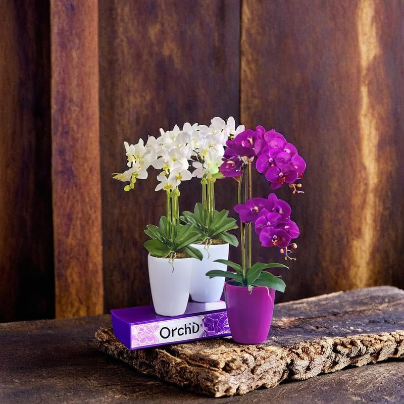 Santino Orchidea Cserép 12cm Önöntöző Rendszerrel Vízszintjelzővel 1,3L - 1,3l, Transparent