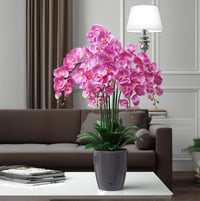 Santino Orchidea Cserép 15cm Öntözőrendszer Vízjelzővel Antracit 2L - 2L, Anthracite 4