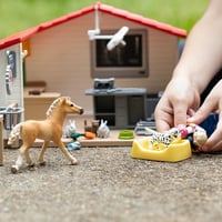 SCHLEICH Farm World Állatorvosi Rendelő Játékszett 43 Darabos - Állatorvossal, Lófigurával és Háziállatokkal, 3-8 Éves Gyerekeknek 8