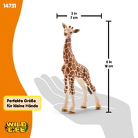 Schleich Wild Life Figúrka mláďaťa žirafy 14751 – Detailne spracovaná figúrka zvieratka pre deti od 3 rokov, 7x4x12 cm 5