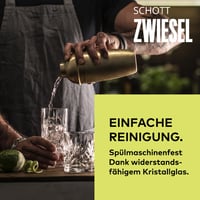 Schott Zwiesel Show Longdrink Pohár Szett (4 db) - Relieffdíszes Kristályüveg, Mosogatógépben Mosható, Átlátszó 3