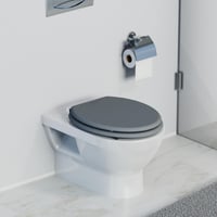 WC doska Schütte Spirit Grey s pomalým sklápaním, drevené jadro, sivá, nosnosť 150 kg, WC sedadlo s pozvoľným zatváraním 7