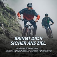 Duša Schwalbe Aerothan Plus TPU – 29-palcová cyklistická duša, ventil AV 19AE+, 40 mm, sivá, ľahká a odolná, vyrobená v Nemecku 3