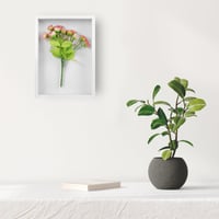 SHACHENH 3D okvir za slike, A4 duboki okvir za punjenje, dubina 6,5 cm, okvir za predmete s prozirnom akrilnom pločom za fotografije, kovanice, suho cvijeće, vitrina 2 6