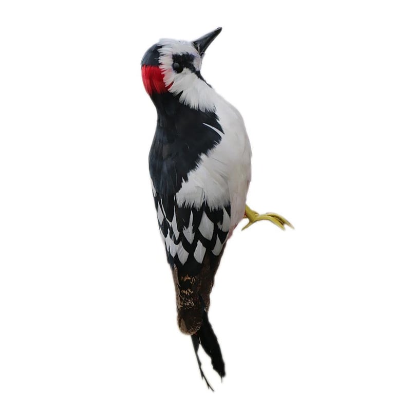 Sharplace Vjerodostojna figura djetlića s perjem - Dekorativna vrtna ptica skulptura 33 cm od polietilena
