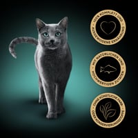 Kolekcia omáčok Sheba pre milovníkov omáčok, vlhké krmivo s tuniakom v omáčke, s certifikátom MSC (2 x 11 x 85 g) – neúplná súprava 21 ks 6