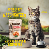 Shelma mokra hrana za mačke bez žitarica s lososom u umaku i spirulinom – visok udio mesa – 28 x 85 g (2,4 kg) 6