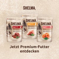 Shelma mokra hrana za mačke bez žitarica s lososom u umaku i spirulinom – visok udio mesa – 28 x 85 g (2,4 kg) 7