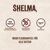Shelma mokra hrana za mačke bez žitarica s lososom u umaku i spirulinom – visok udio mesa – 28 x 85 g (2,4 kg) 3