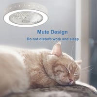 Stropný ventilátor Shengruili s LED svetlom, 6 rýchlostí, diaľkové ovládanie, nastaviteľné biele svetlo, tichý osvetlený ventilátor do spálne 7