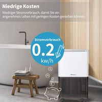 Shinco elektromos páramentesítő aktívszén-szűrővel, 10 l/nap, 45 m³ 2