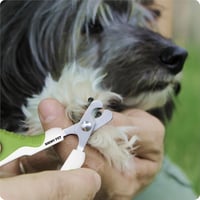 SHINY PET Macskakarmok Ollója - Körmvágó Kisállatoknak Macskához Kutyához Nyúlhoz 8