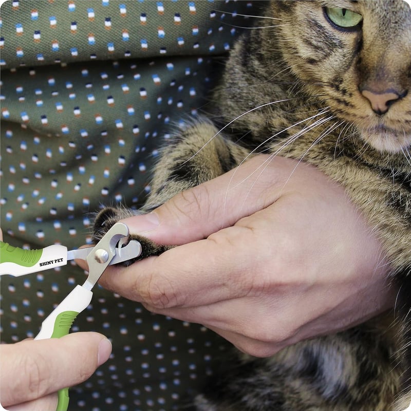 SHINY PET Macskakarmok Ollója - Körmvágó Kisállatoknak Macskához Kutyához Nyúlhoz