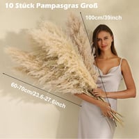 Iarbă de Pampas SHOKAN Mare 100 cm, 10 Fire, Flori Uscate XXL, Decor Pufos Natural, Stil Boho, pentru Sufragerie, Dormitor, Nuntă 2