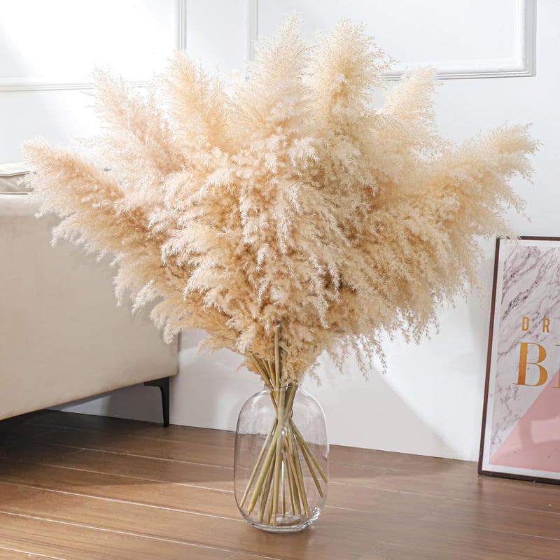 Iarbă de Pampas SHOKAN Mare 100 cm, 10 Fire, Flori Uscate XXL, Decor Pufos Natural, Stil Boho, pentru Sufragerie, Dormitor, Nuntă
