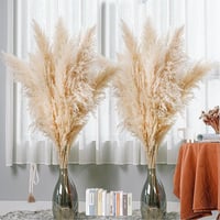 Iarbă de Pampas SHOKAN Mare 100 cm, 10 Fire, Flori Uscate XXL, Decor Pufos Natural, Stil Boho, pentru Sufragerie, Dormitor, Nuntă 7