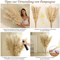 Iarbă de Pampas SHOKAN Mare 100 cm, 10 Fire, Flori Uscate XXL, Decor Pufos Natural, Stil Boho, pentru Sufragerie, Dormitor, Nuntă 3