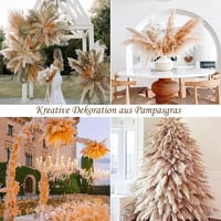 Iarbă de Pampas SHOKAN Mare 100 cm, 10 Fire, Flori Uscate XXL, Decor Pufos Natural, Stil Boho, pentru Sufragerie, Dormitor, Nuntă 6