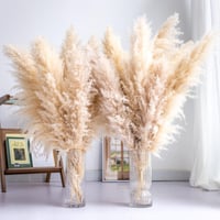 Iarbă de Pampas SHOKAN Mare 100 cm, 10 Fire, Flori Uscate XXL, Decor Pufos Natural, Stil Boho, pentru Sufragerie, Dormitor, Nuntă 8