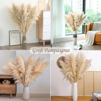 Iarbă de Pampas SHOKAN Mare 100 cm, 10 Fire, Flori Uscate XXL, Decor Pufos Natural, Stil Boho, pentru Sufragerie, Dormitor, Nuntă 5