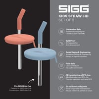 Sigg detský pohár s viečkom a slamkou 2 ks – Náhradný diel pre detský pohár z nehrdzavejúcej ocele (0,35 l) – Silikónový uzáver a tritánová slamka – 2