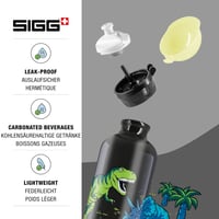 Detská hliníková fľaša Sigg KBT Glow Dinosaurs – svieti v tme – nepriepustná – bez BPA – čierna s dinosaurami – 0,3 l 3