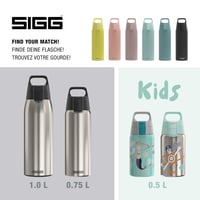 Nerezová fľaša na vodu Sigg Shield ONE Brushed na sýtené nápoje – nepriepustná, bez BPA, ľahká – strieborná – 0,75 l 5