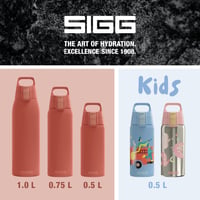 Detská nerezová fľaša SIGG Shield One Disney Leví kráľ 0,5 l – Nepriepustná, bez BPA, vhodná aj na sýtené nápoje 8
