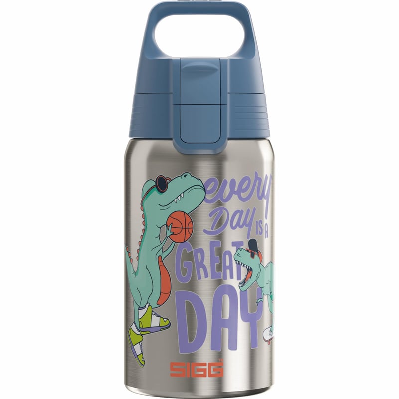 Detská nerezová fľaša SIGG Shield One Great Day, na sýtené nápoje, nepriepustná, bez BPA, sivá, 0,5 l